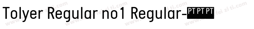 Tolyer Regular no1 Regular字体转换